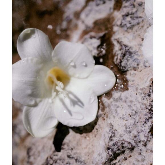 $105‎ Chloé Nomade Eau de Parfum 1fl oz/30ml - Picture 4 of 5